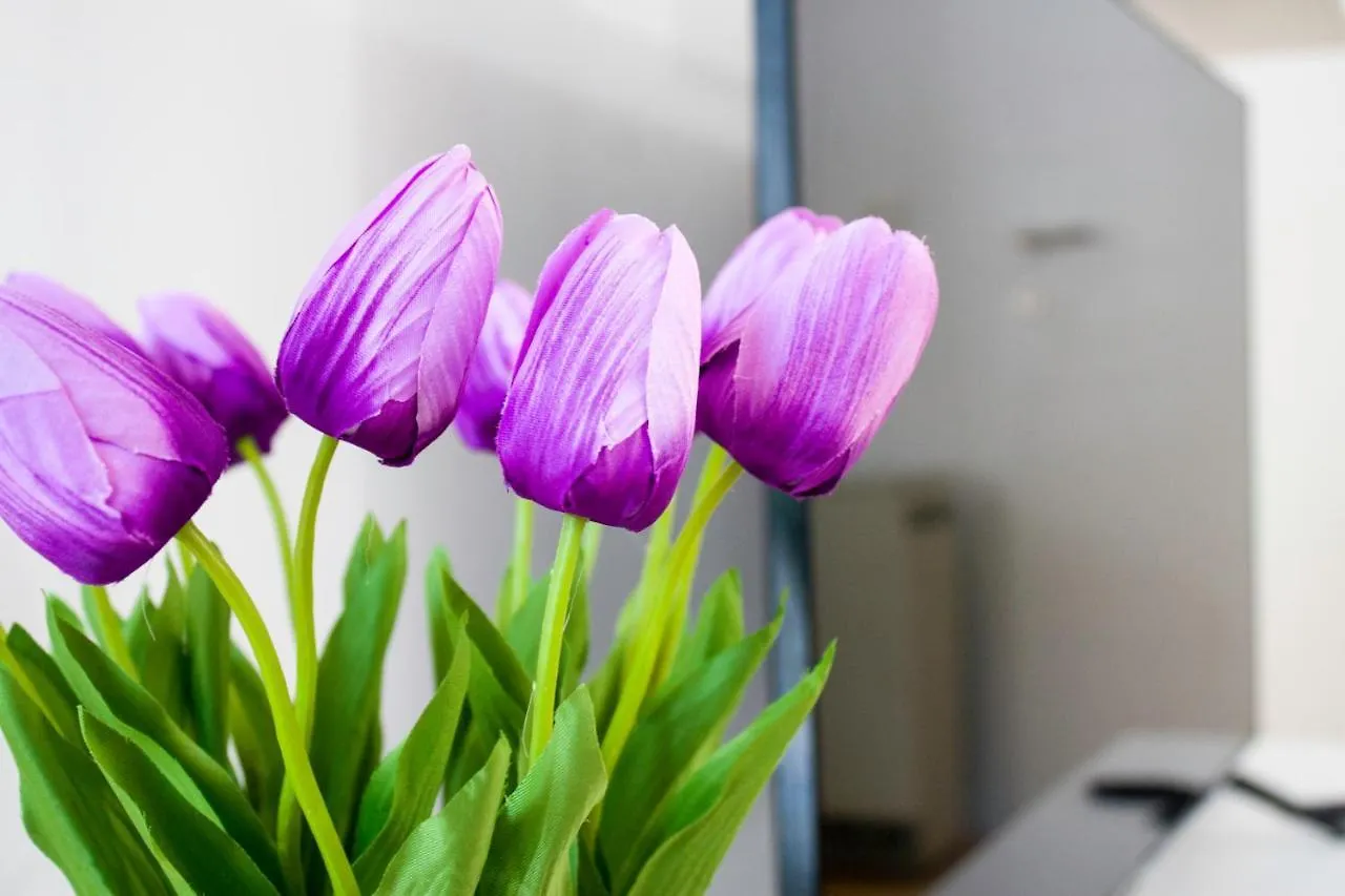 White Orchid Pula Apartment