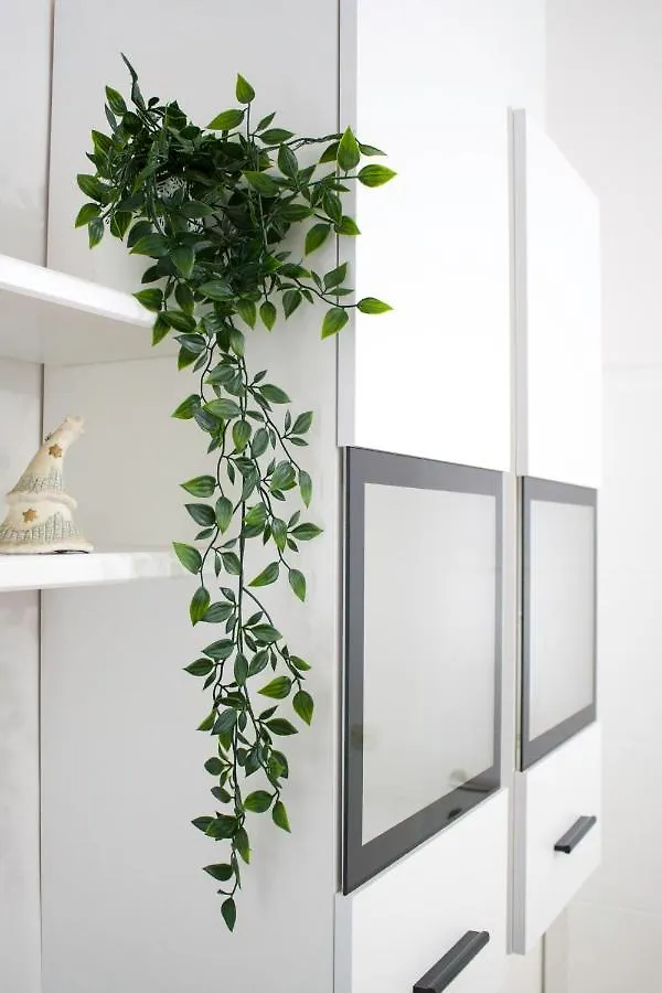 White Orchid Pula Apartment